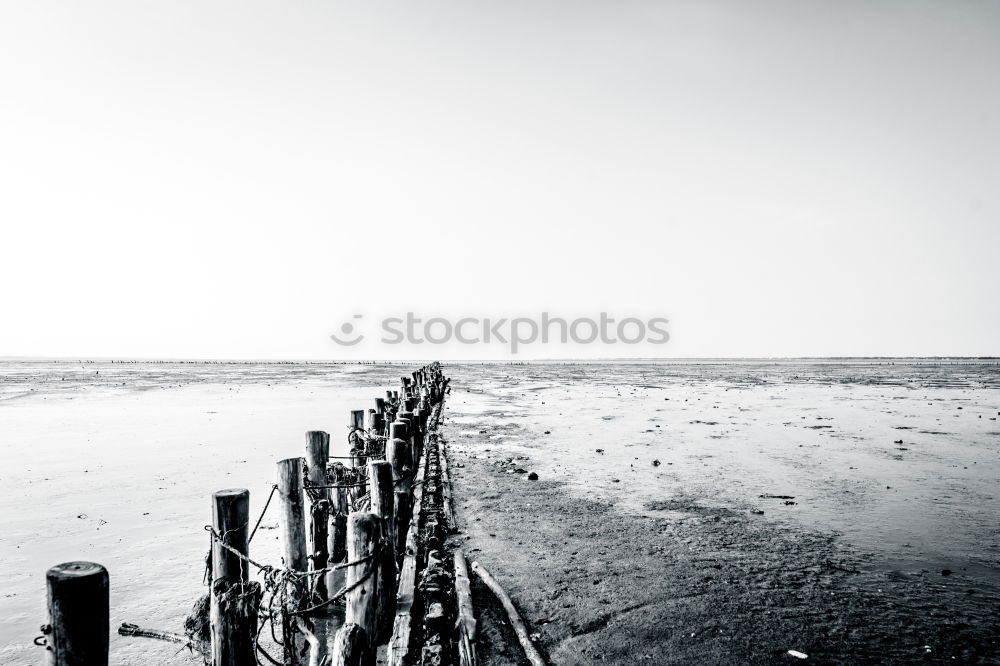 Similar – Image, Stock Photo helmet sand Environment