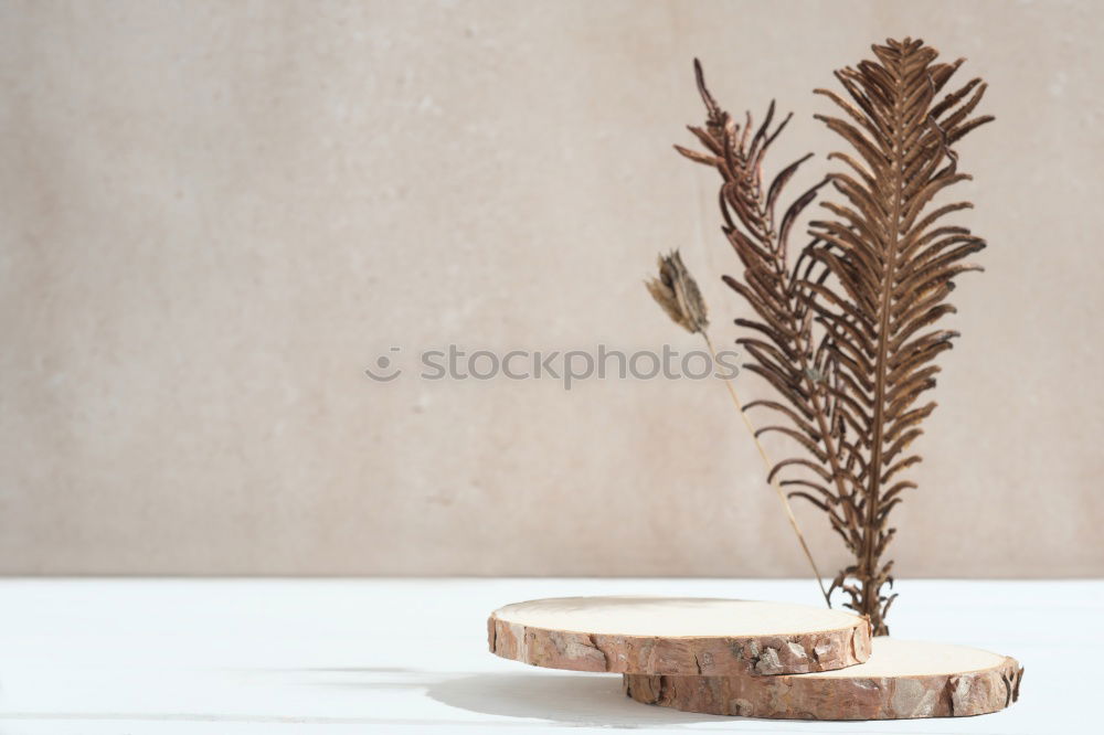 set of rustic cutting boards and ceramic brown vase