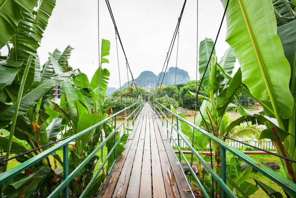 Similar – Woman walking on bridge