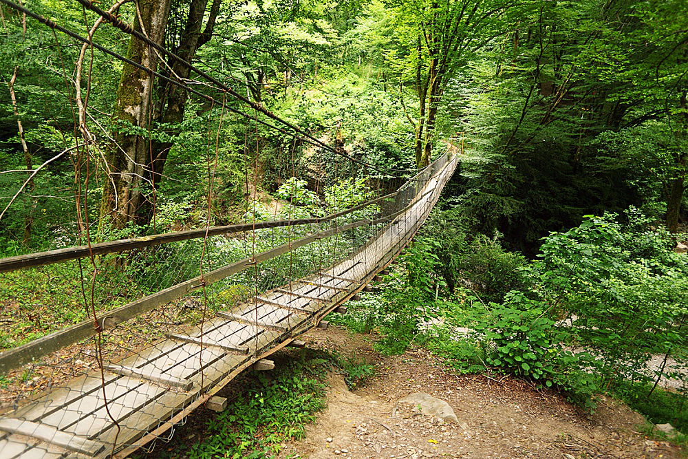 Similar – Stairway to Green Hell