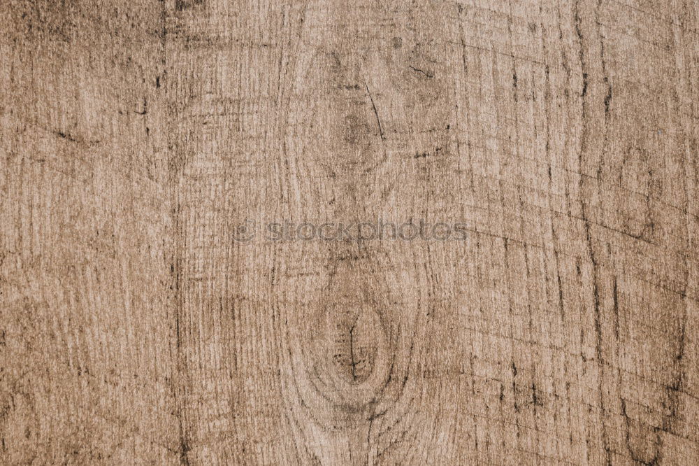 Similar – Image, Stock Photo wood grain surface Grain