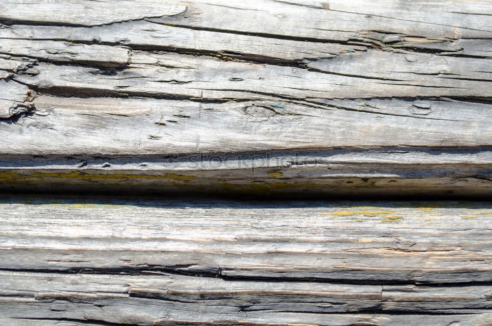 Similar – wooden wall wood texture weathered larch larch wood