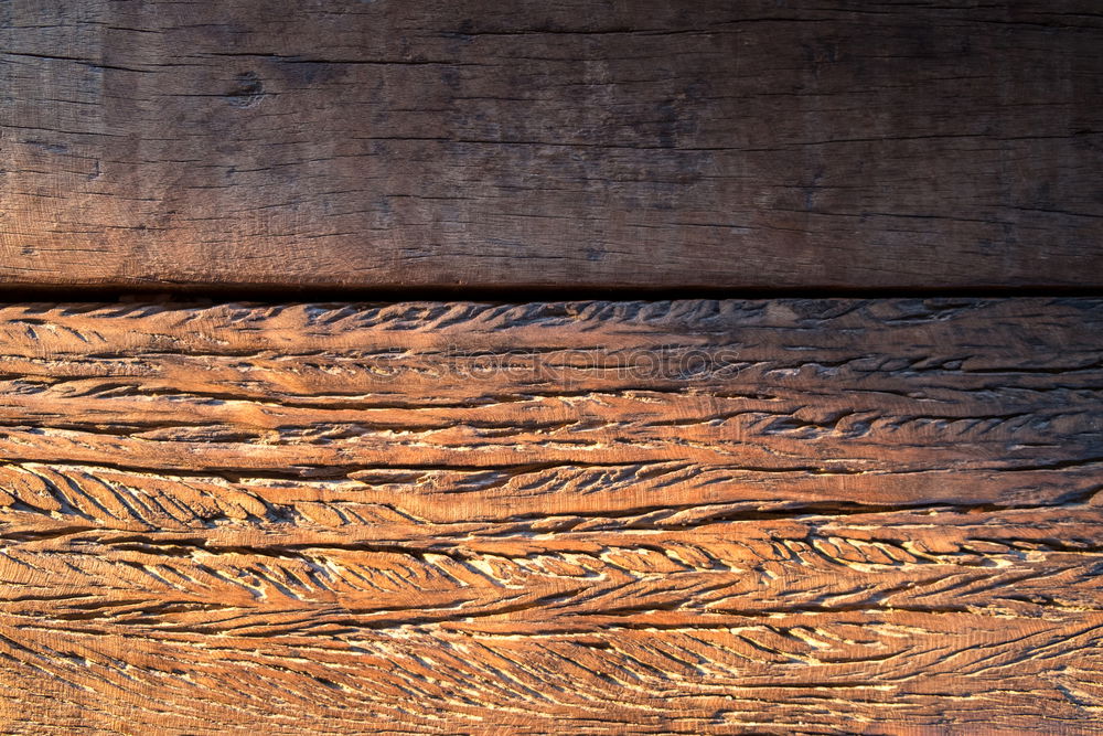 Similar – Frame of sage leaves on rustic background