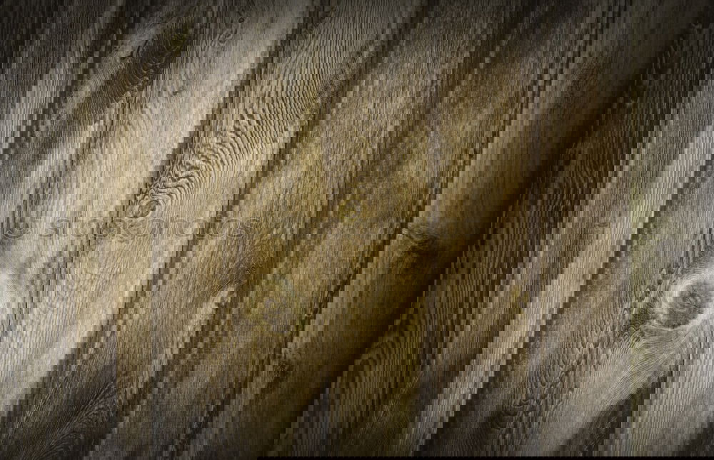 Image, Stock Photo blade guard Summer Knives