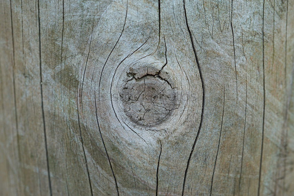 Similar – Image, Stock Photo knot hole Wood