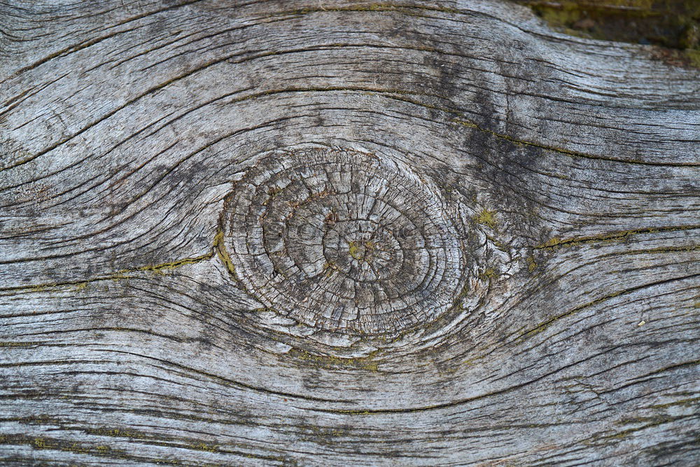 Similar – Old heart shaped door lock on a blue wooden door