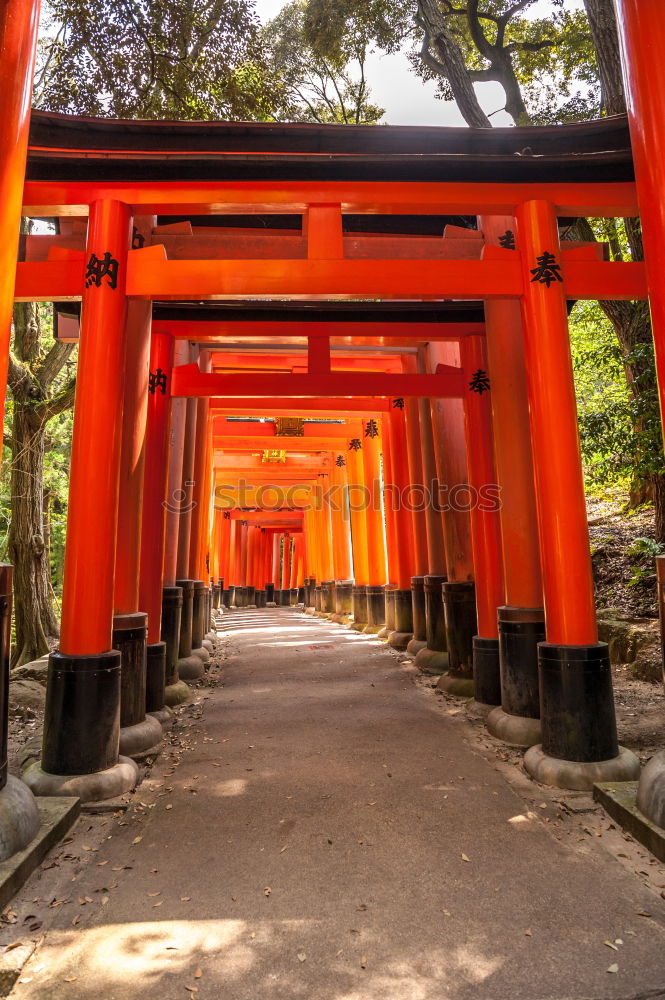 Similar – Japanese arches and path