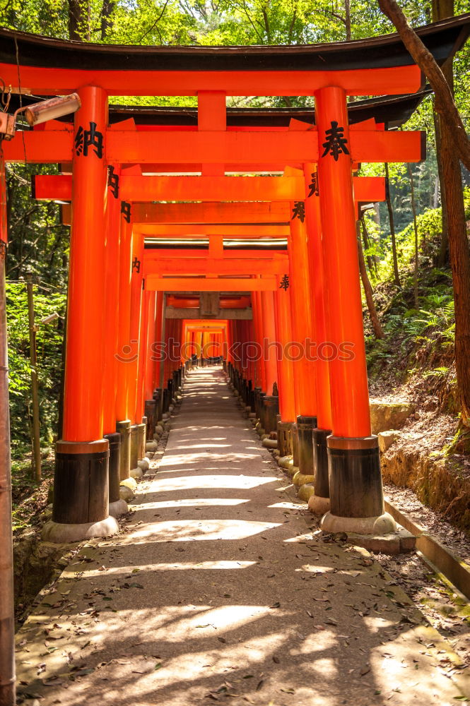 Similar – Japanese arches and path