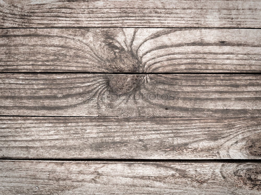 Similar – Image, Stock Photo Rustic wooden planks Style