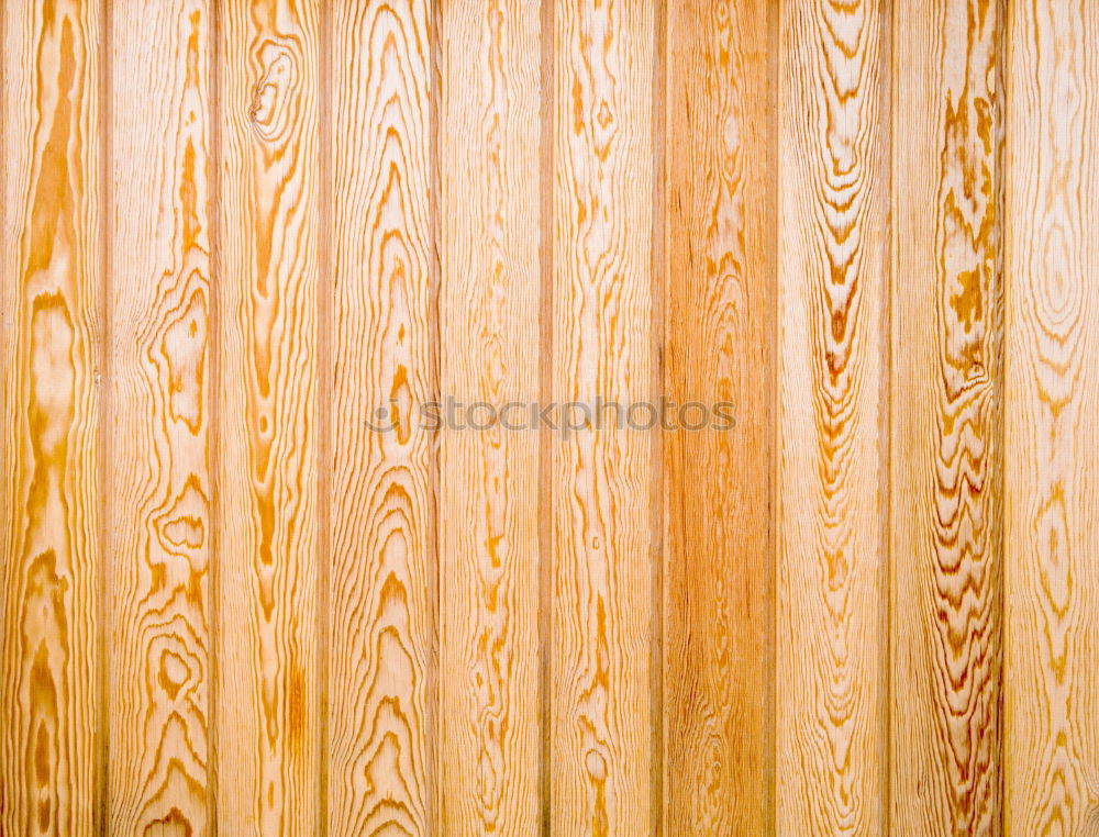 Similar – Image, Stock Photo bed of nails Wood Gloomy