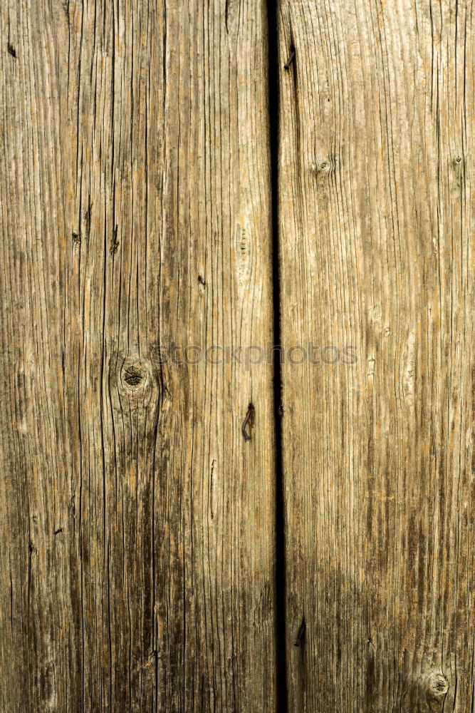 Similar – Image, Stock Photo yellow door, matisi caves-china