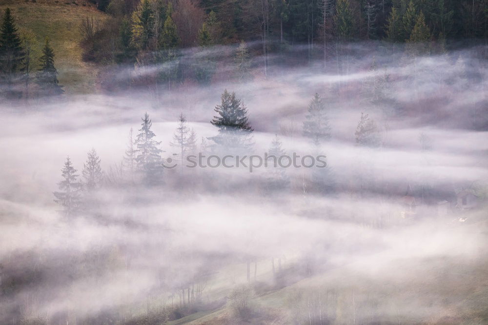 Similar – Image, Stock Photo waves of fog