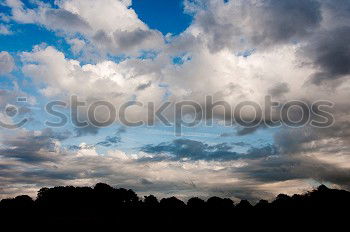 Similar – Twilight 2 Tree Clouds