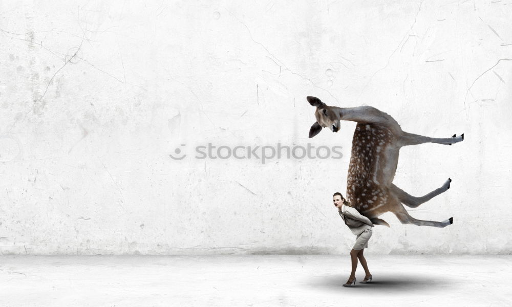 Similar – Image, Stock Photo paper tiger