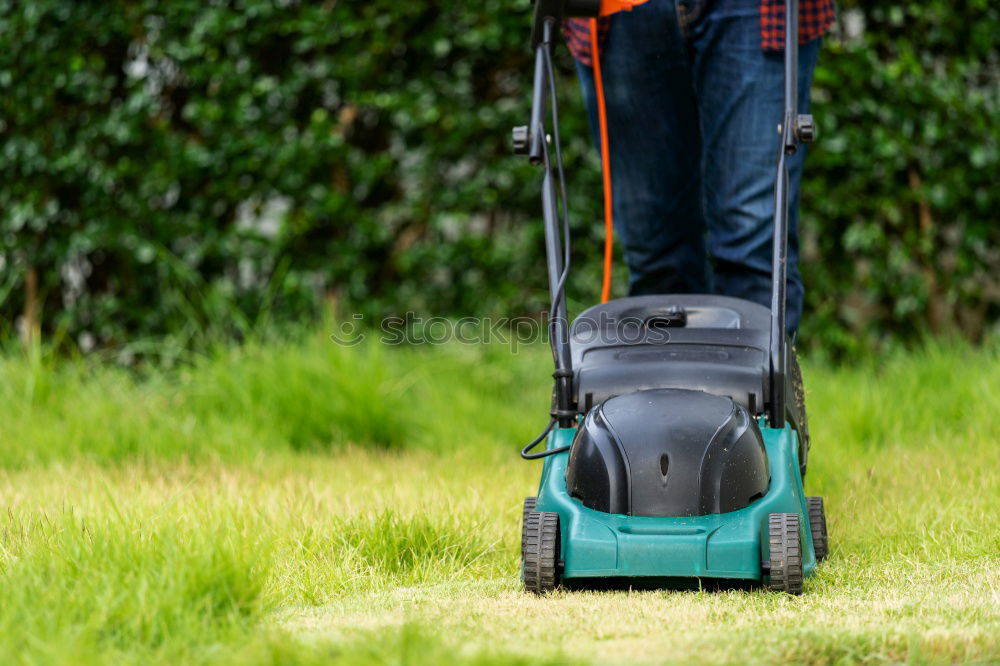 Similar – Image, Stock Photo Spraying pesticides with a portable sprayer to eliminate weeds from the lawn. Weed killer spray on the weeds in the garden. Pesticide use is harmful to health. Weed control concept. Weed killer