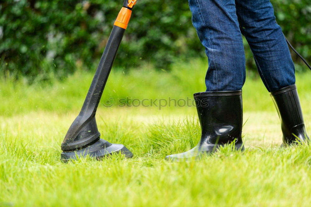 Similar – Image, Stock Photo Spraying pesticides with a portable sprayer to eliminate weeds from the lawn. Weed killer spray on the weeds in the garden. Pesticide use is harmful to health. Weed control concept. Weed killer