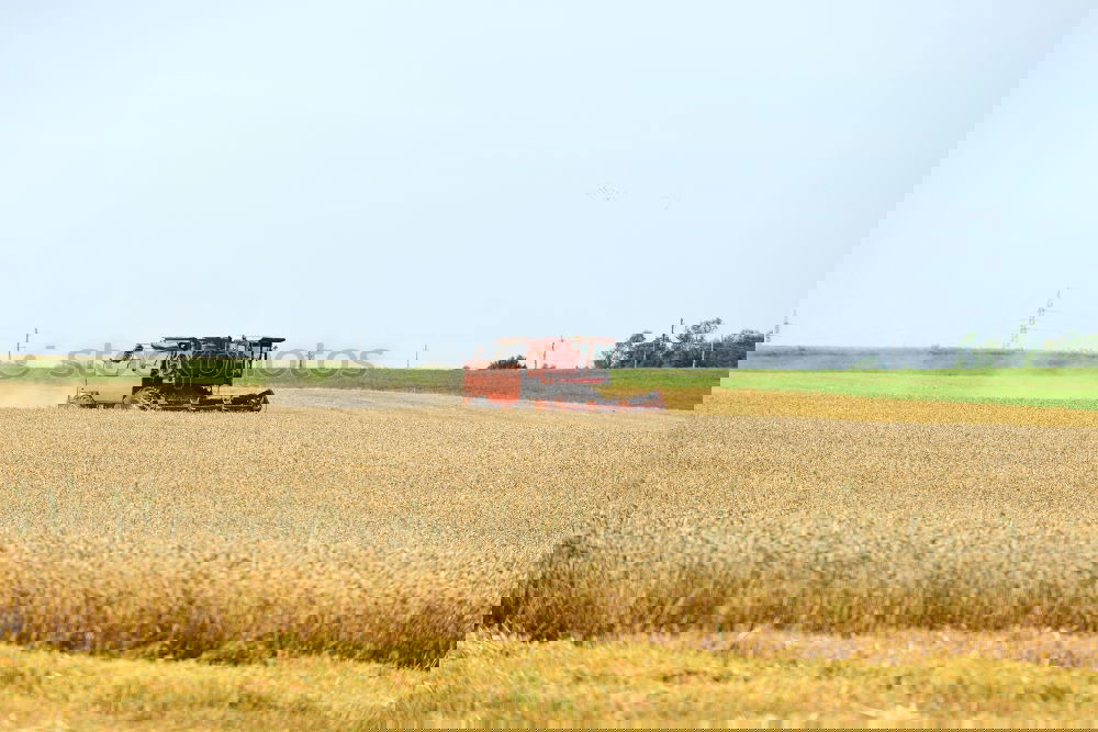 Image, Stock Photo bulldog Tractor