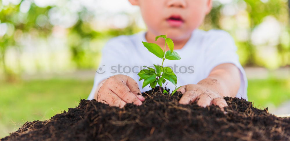 Similar – waiting Plant Spring