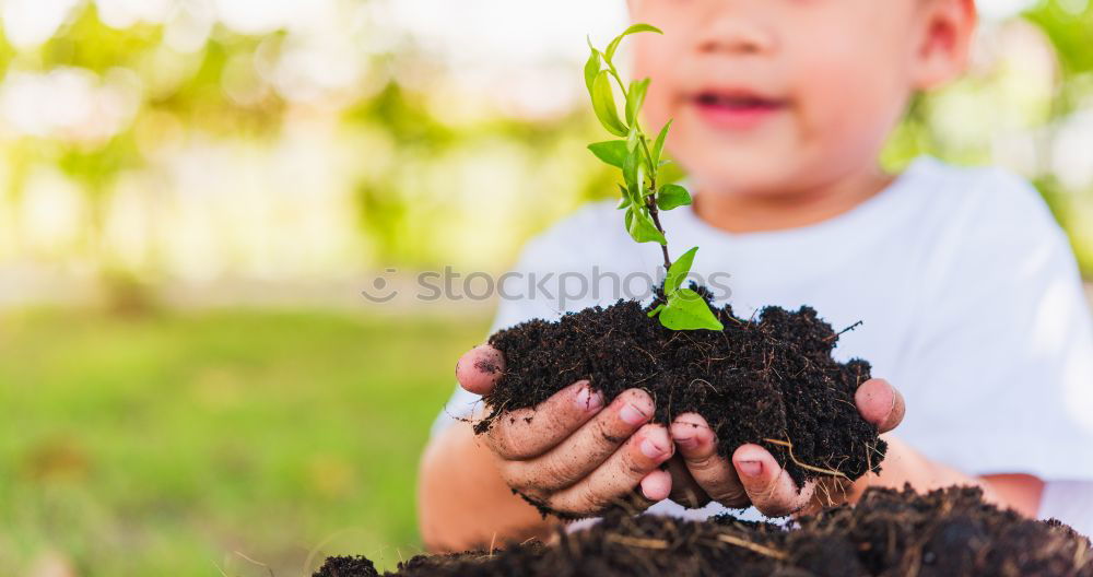 Similar – Foto Bild Moosgärtlein Handarbeit