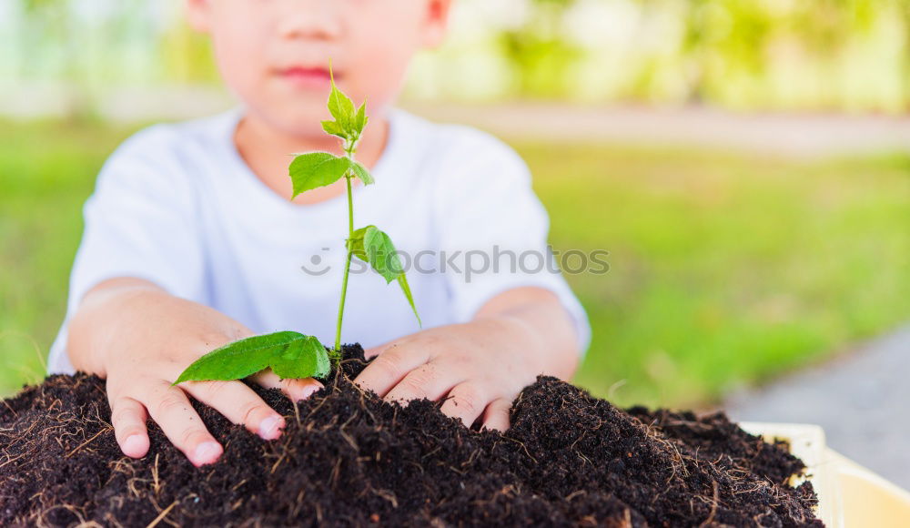 Similar – Foto Bild Moosgärtlein Handarbeit
