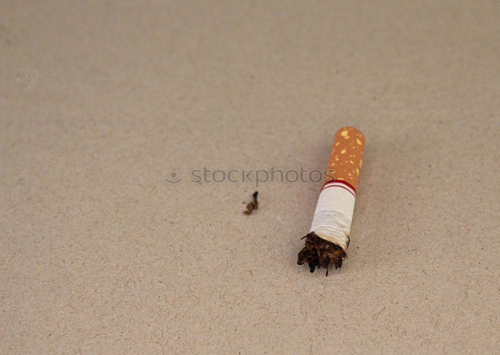 Similar – Image, Stock Photo butt stump Cigarette