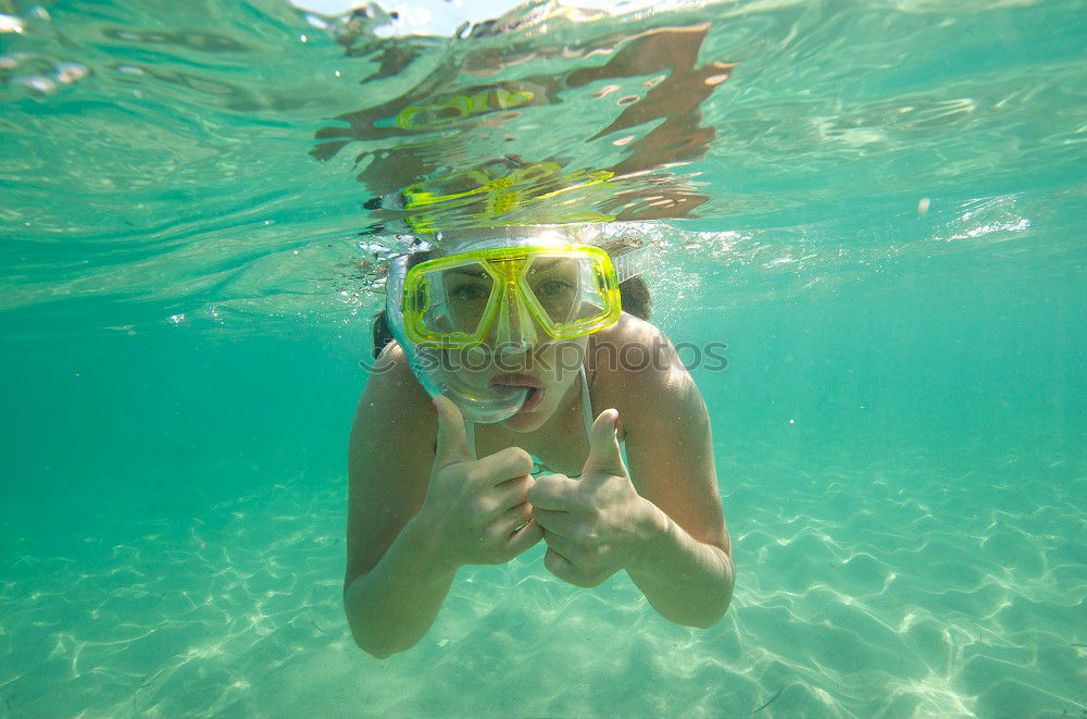 Similar – Image, Stock Photo Not swimmer?! Dive