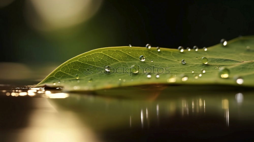 Similar – Image, Stock Photo The beautiful rainy day