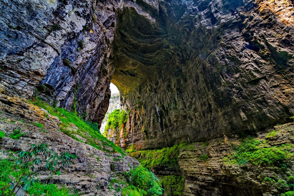 Similar – Image, Stock Photo Cave covered with green moss