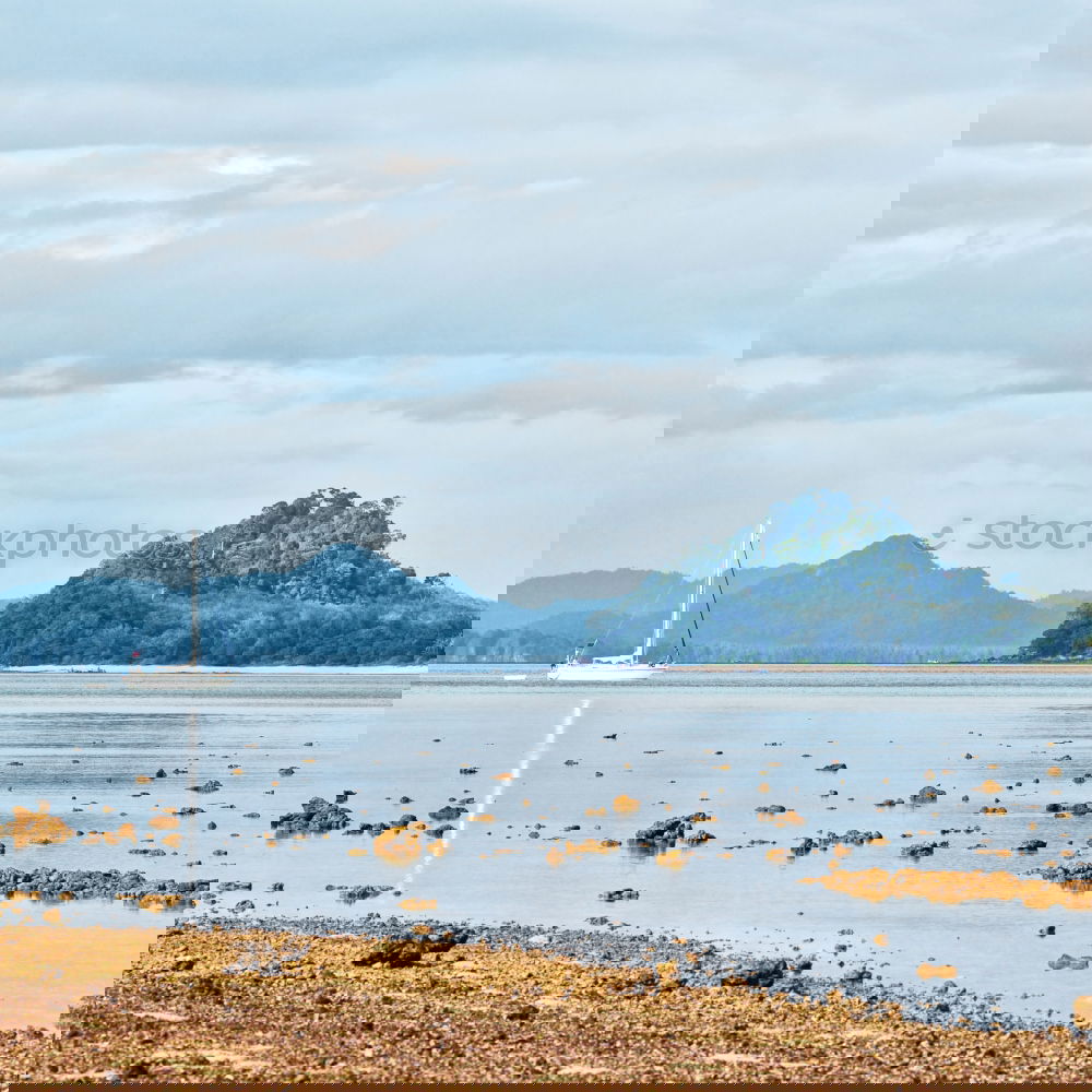 Similar – Image, Stock Photo pollen from the edge of a limb
