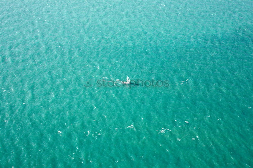 Foto Bild wir sitzen alle im selben boot