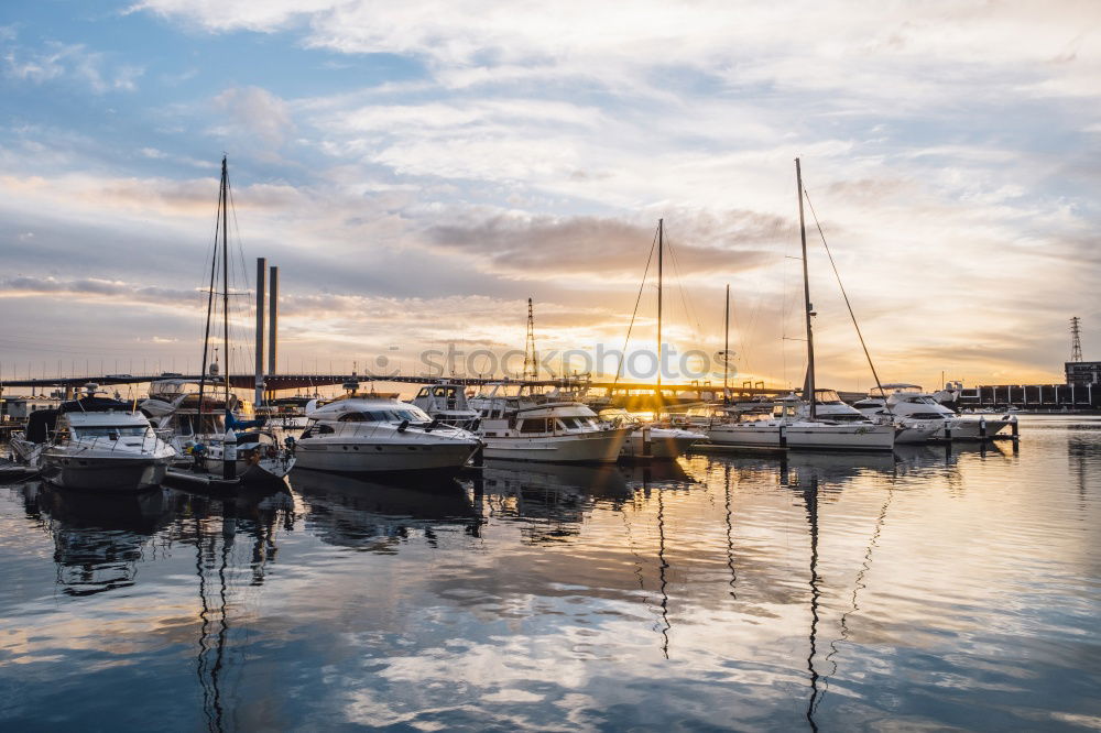 Similar – Olive trees, sea and sunse