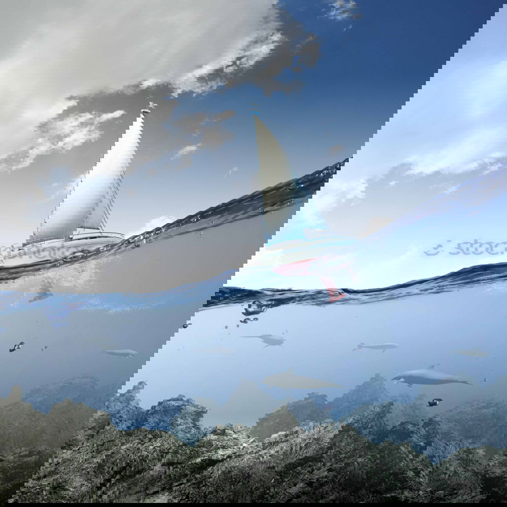 Image, Stock Photo Fly to Borneo Airplane