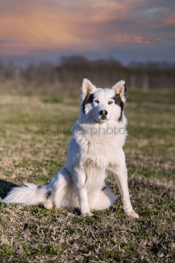 Similar – Image, Stock Photo Shift boy | Dream the day away II