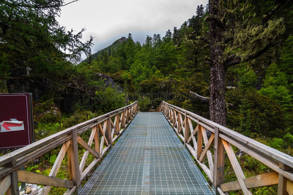 Similar – Image, Stock Photo Geierlay suspension bridge in autumn