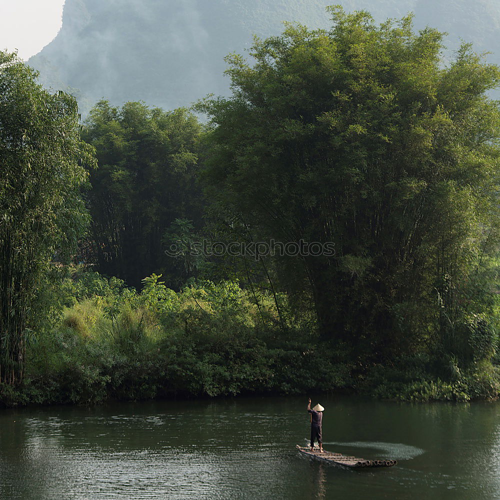 Similar – Image, Stock Photo Boy sitting on air-filled plastic crocodile in a lake