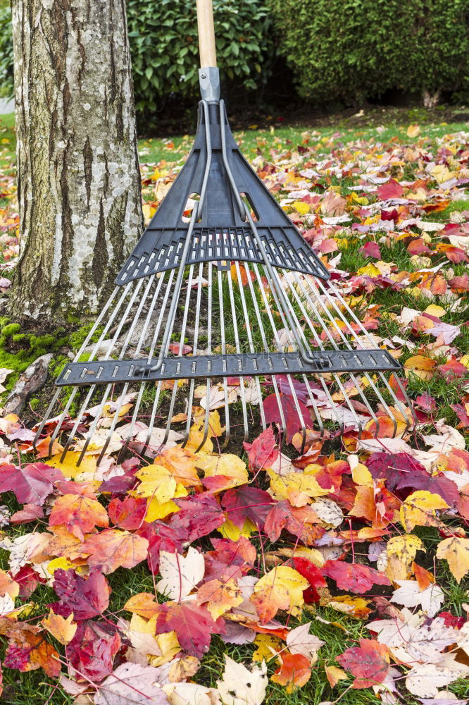 Similar – Image, Stock Photo Wheelbarrow with leaves in autumn