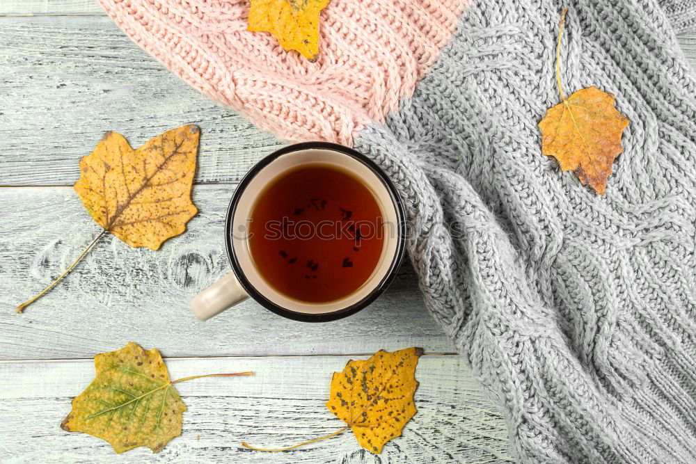 Similar – Image, Stock Photo cup of tea, maple leaves, key with blank label, warm clothes