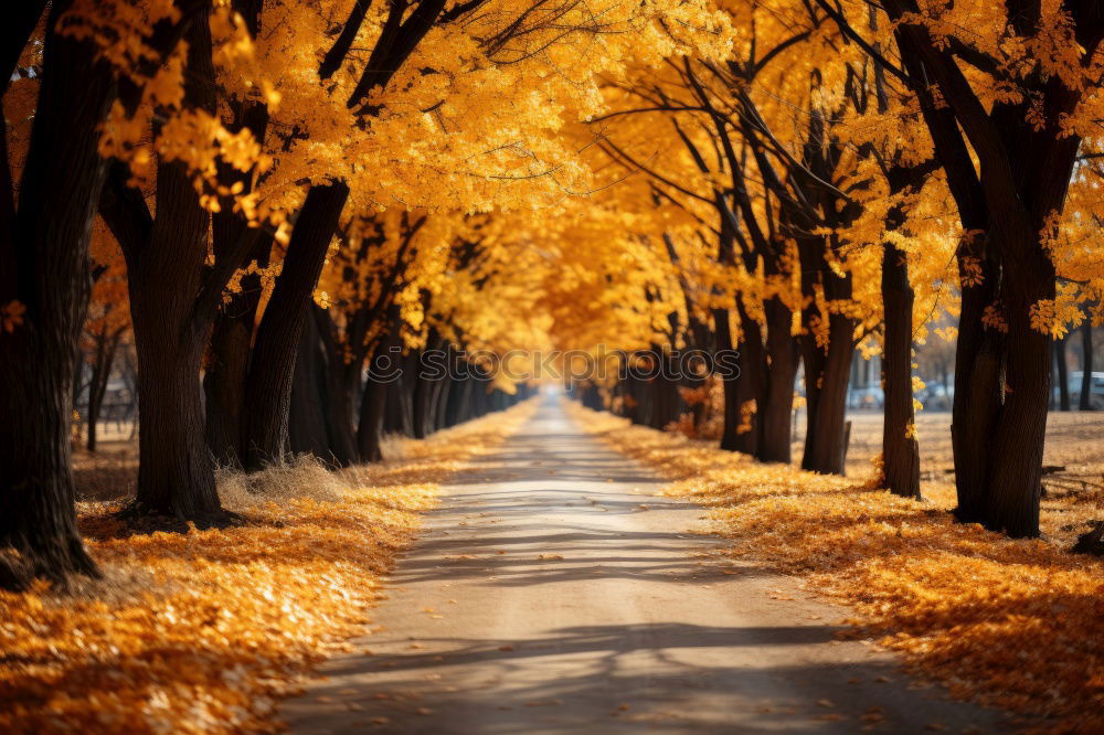 Similar – Cross with autumnal leaves in the background