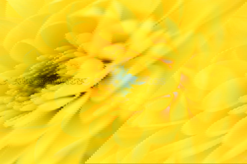 Similar – Image, Stock Photo #AS# Spring 2017 Art