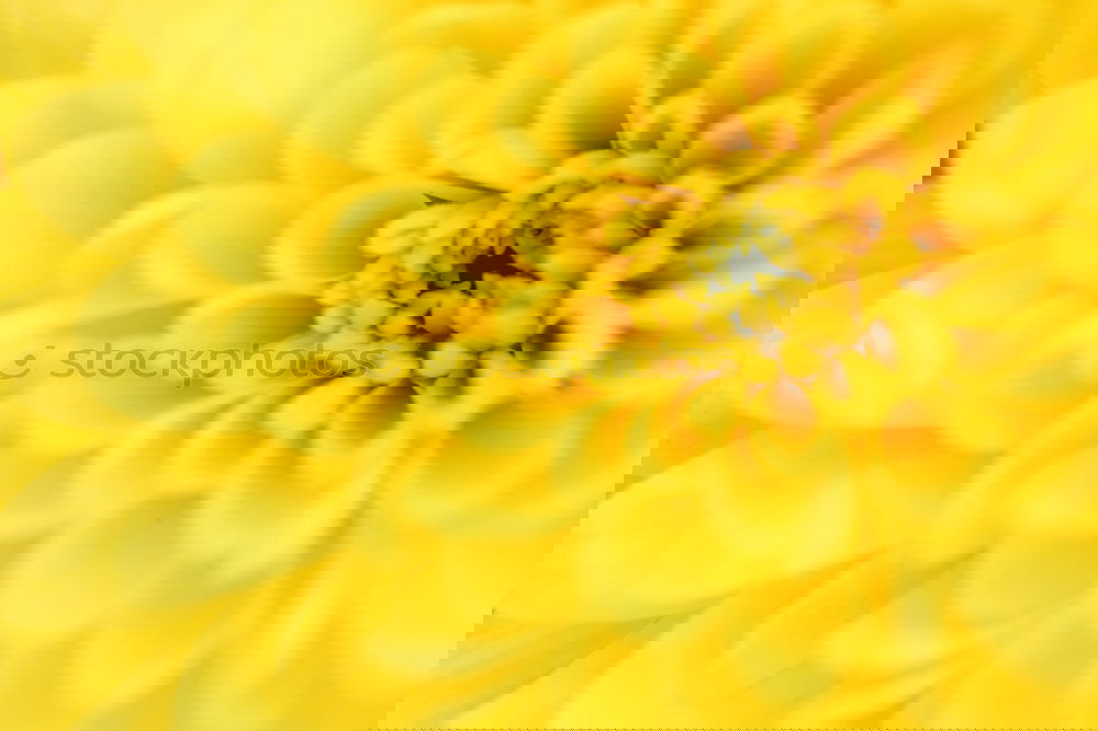 Similar – Image, Stock Photo #AS# Spring 2017 Art