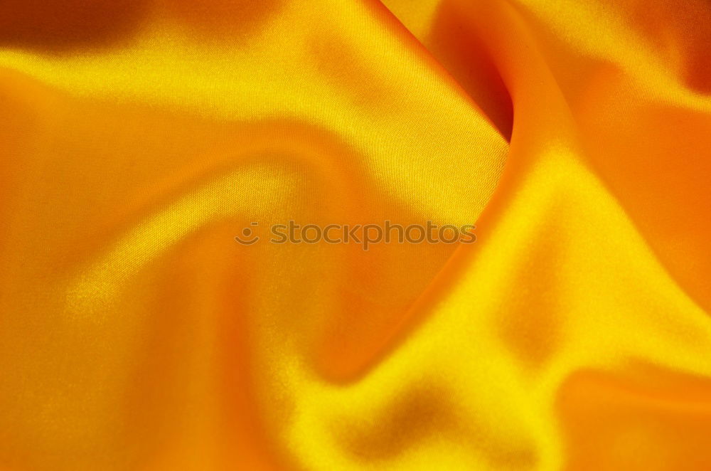 Similar – marigold Flower Marigold