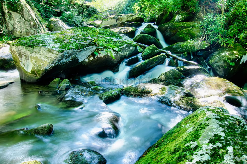 Similar – Image, Stock Photo watercourse Environment