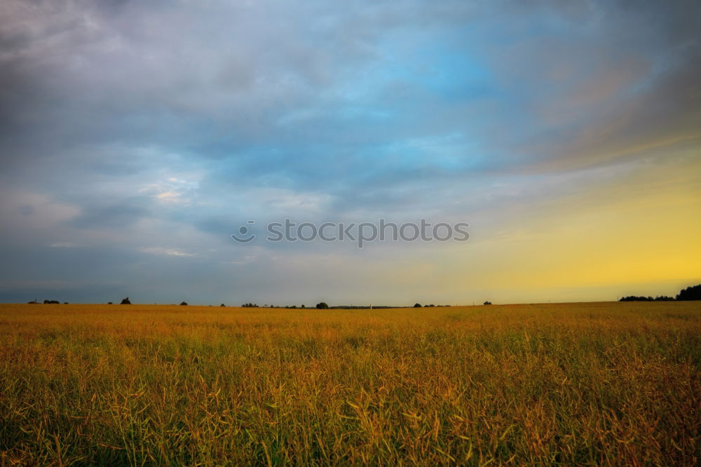 Similar – Ernte 2005 Stroh Feld