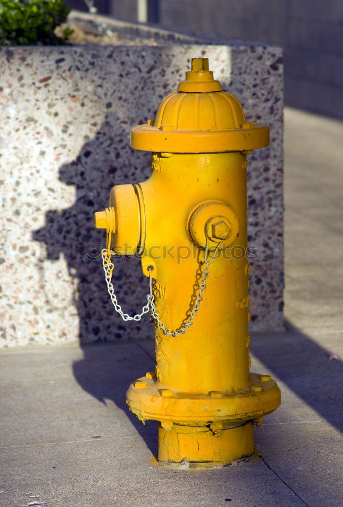 Similar – hydrant Fire hydrant Erase