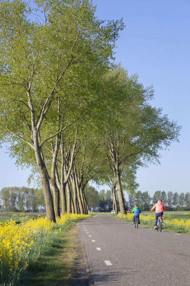 Similar – Image, Stock Photo HOME WAY Cycle path