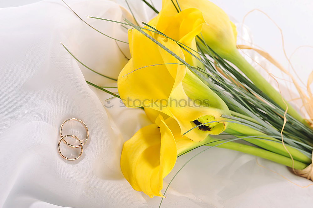 Similar – Image, Stock Photo Make a bouquet with decoration.