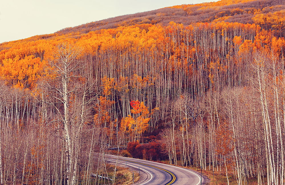 Similar – Image, Stock Photo Indian Summer @ Acadia NP