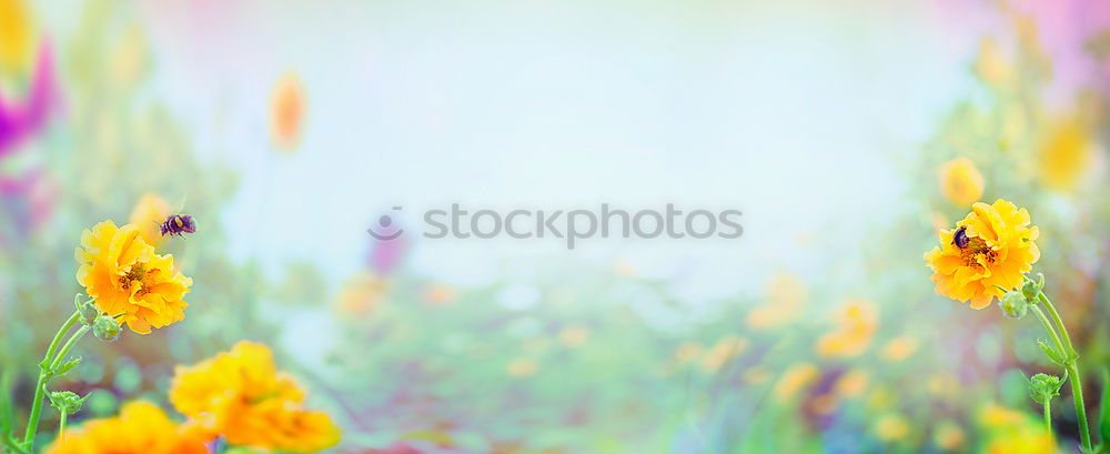 Similar – Image, Stock Photo spring fever Lifestyle