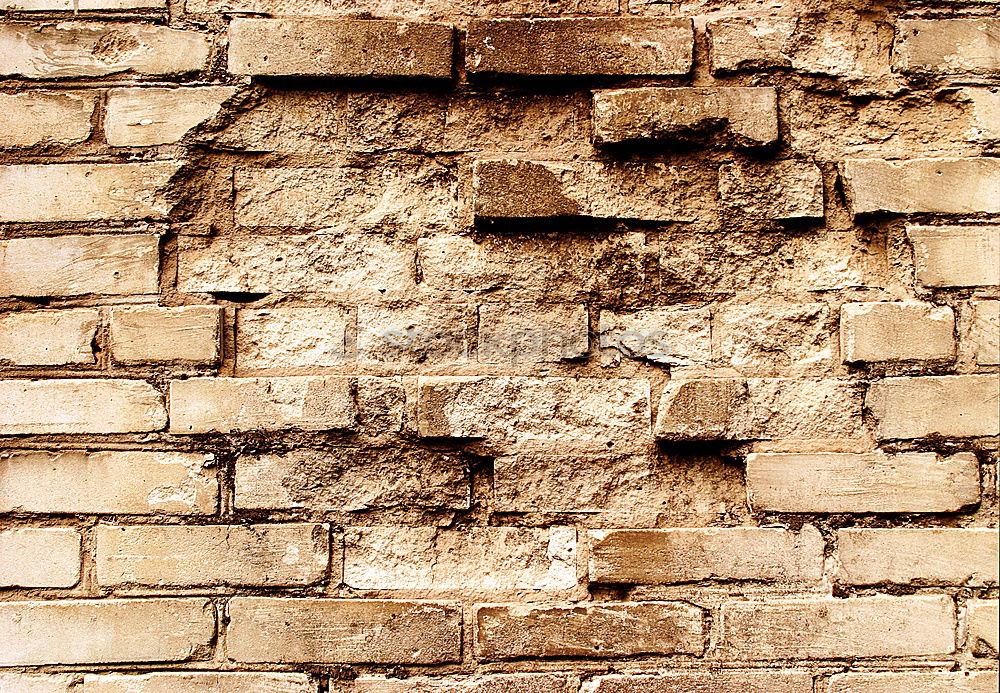 Similar – Image, Stock Photo much wall = little sky