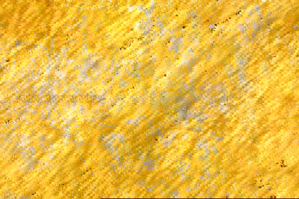 Similar – Image, Stock Photo sex sells Yellow Brown